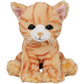 die-spiegelburg-katze-ruby--EFAD53291.jpg
