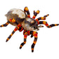 Die Spiegelburg Spinne - Nature Zoom Wild, 37 cm