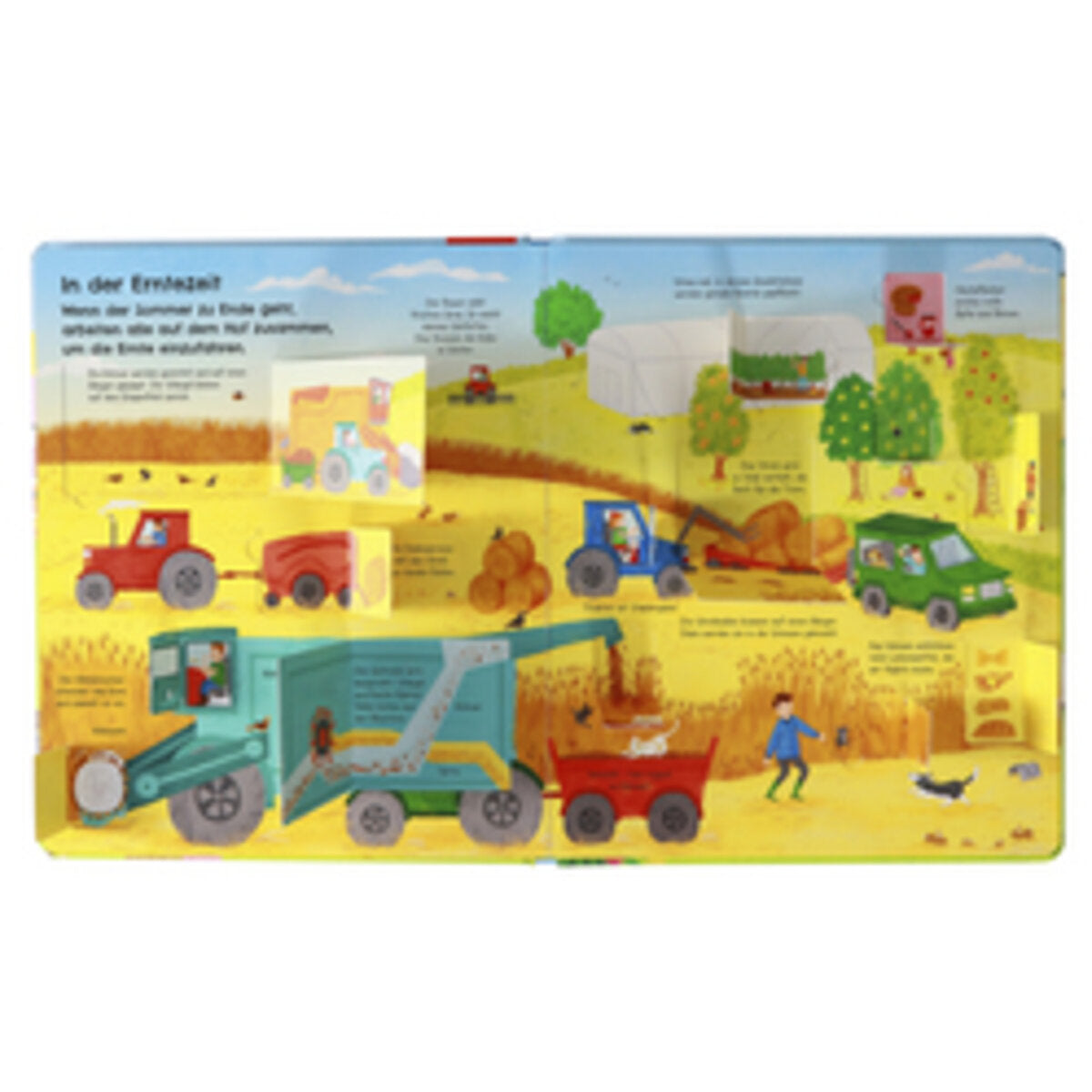 dk-verlag-aufgeklappt-und-viel-4029E8112.jpg