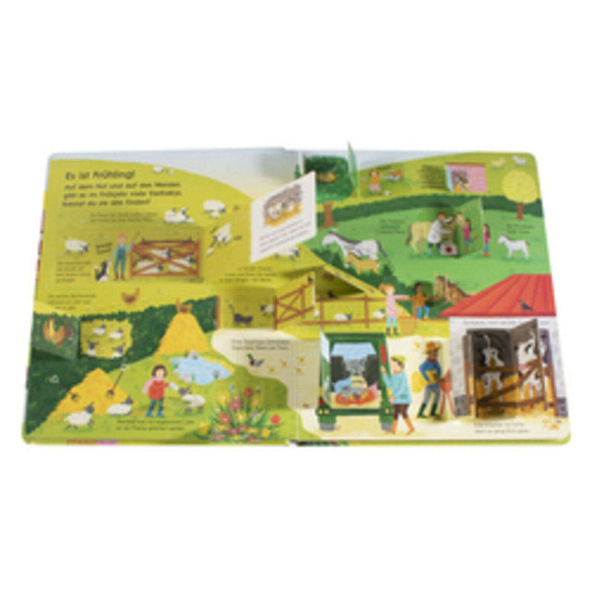 dk-verlag-aufgeklappt-und-viel-4029E8114.jpg