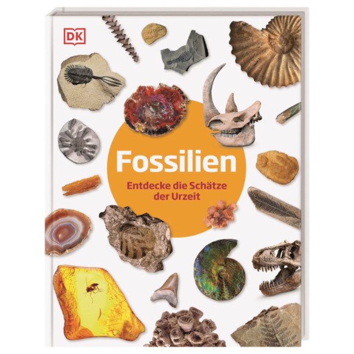 DK Verlag Fossilien