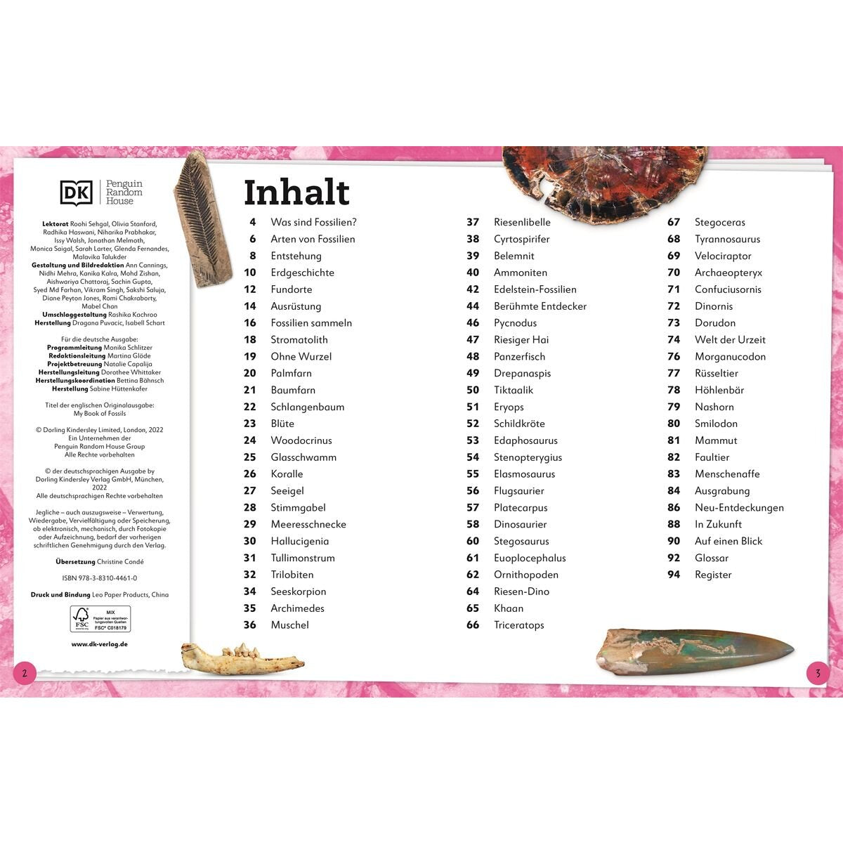 DK Verlag Fossilien