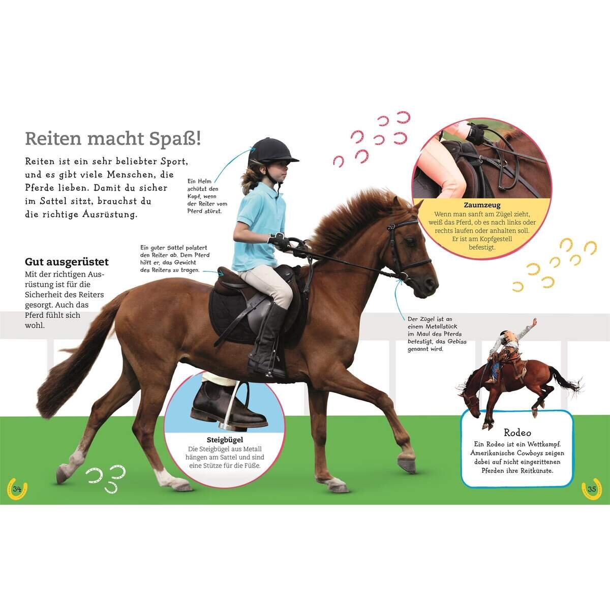 dk-verlag-pferde-und-ponys-E8BB6C382.jpg