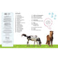 dk-verlag-pferde-und-ponys-E8BB6C384.jpg