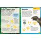 dk-verlag-sticker-lexikon-dinosaurier-C5690BC02.jpg