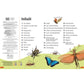 dk-verlag-superchecker-insekten-E2B703D42.jpg