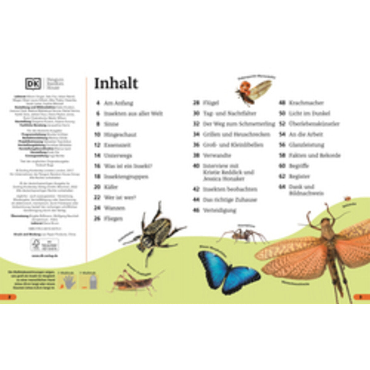 dk-verlag-superchecker-insekten-E2B703D42.jpg