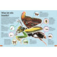 dk-verlag-superchecker-insekten-E2B703D44.jpg