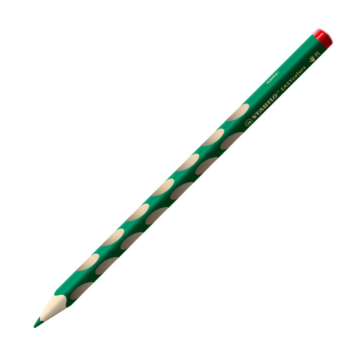 Ergonomischer Buntstift für Rechtshänder - STABILO EASYcolors - Einzelstift - grün