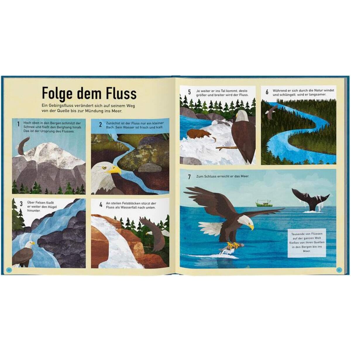 haba-305062-blauer-planet--5CC64E6C3.jpg