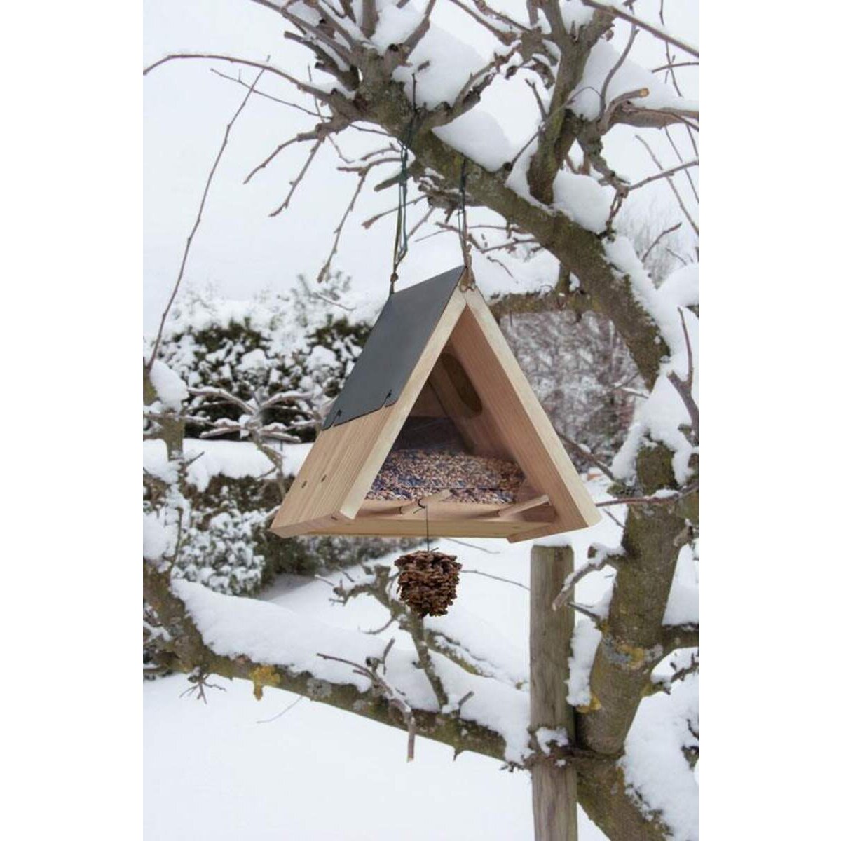 haba-306014-terra-kids-futterhaus-2794BC045.jpg