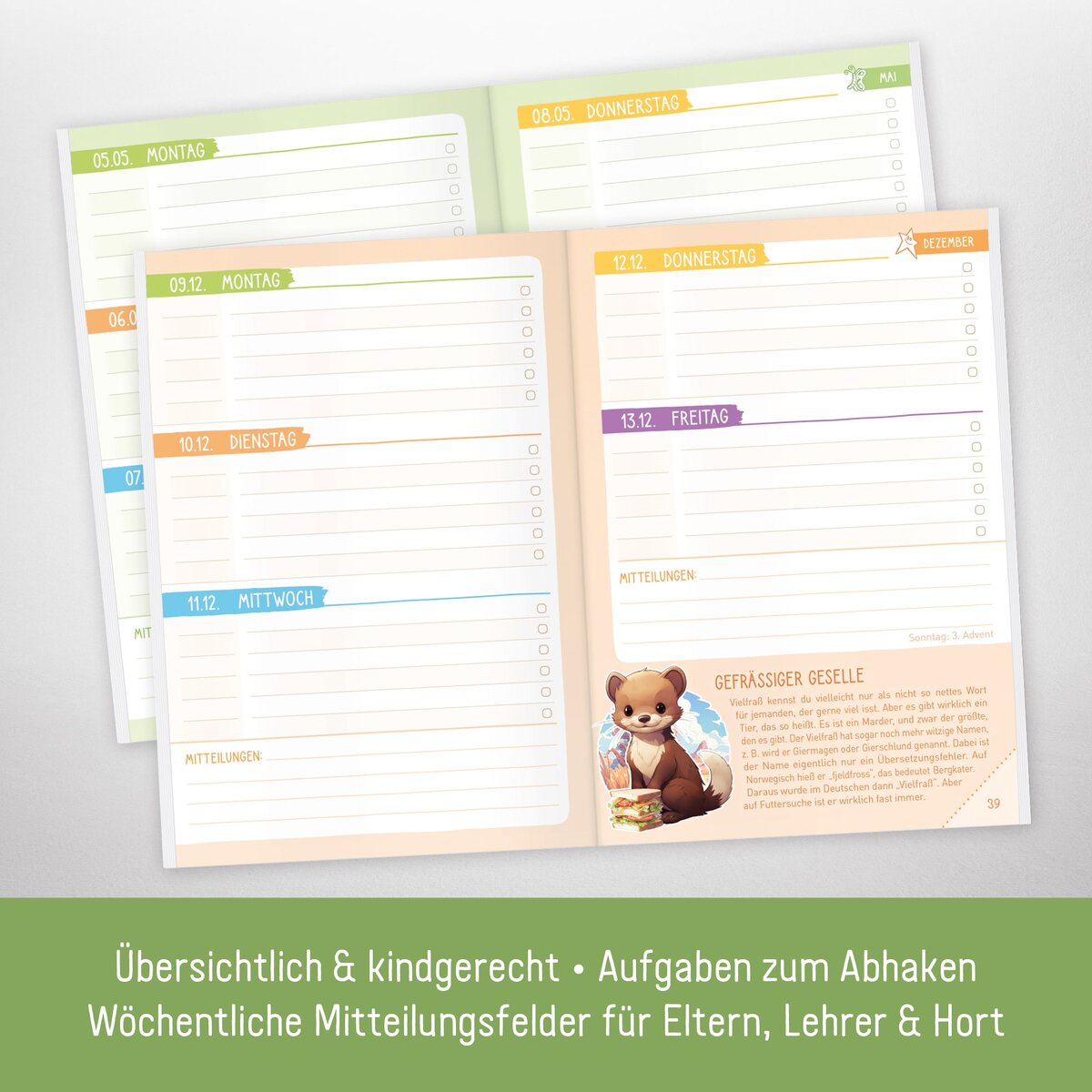 Häfft-Verlag Das Grundschul-Hausaufgabenheft - Rasselbande - 2024/2025, A5