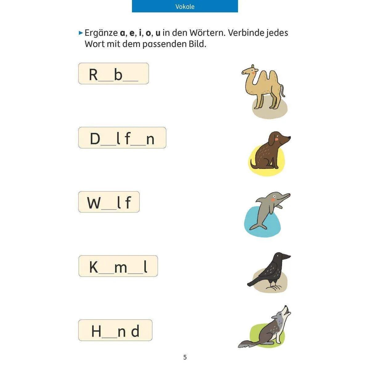 hauschka-verlag-quer-durch-die-3D724C624.jpg