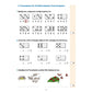 hauschka-verlag-tests-in-mathematik-535D1A367.jpg