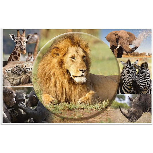 HERMA Schreibtischunterlage Afrika Tiere 55x35cm