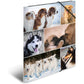 herma-sammelmappe-karton-hunde-a4-CA50BB301.jpg