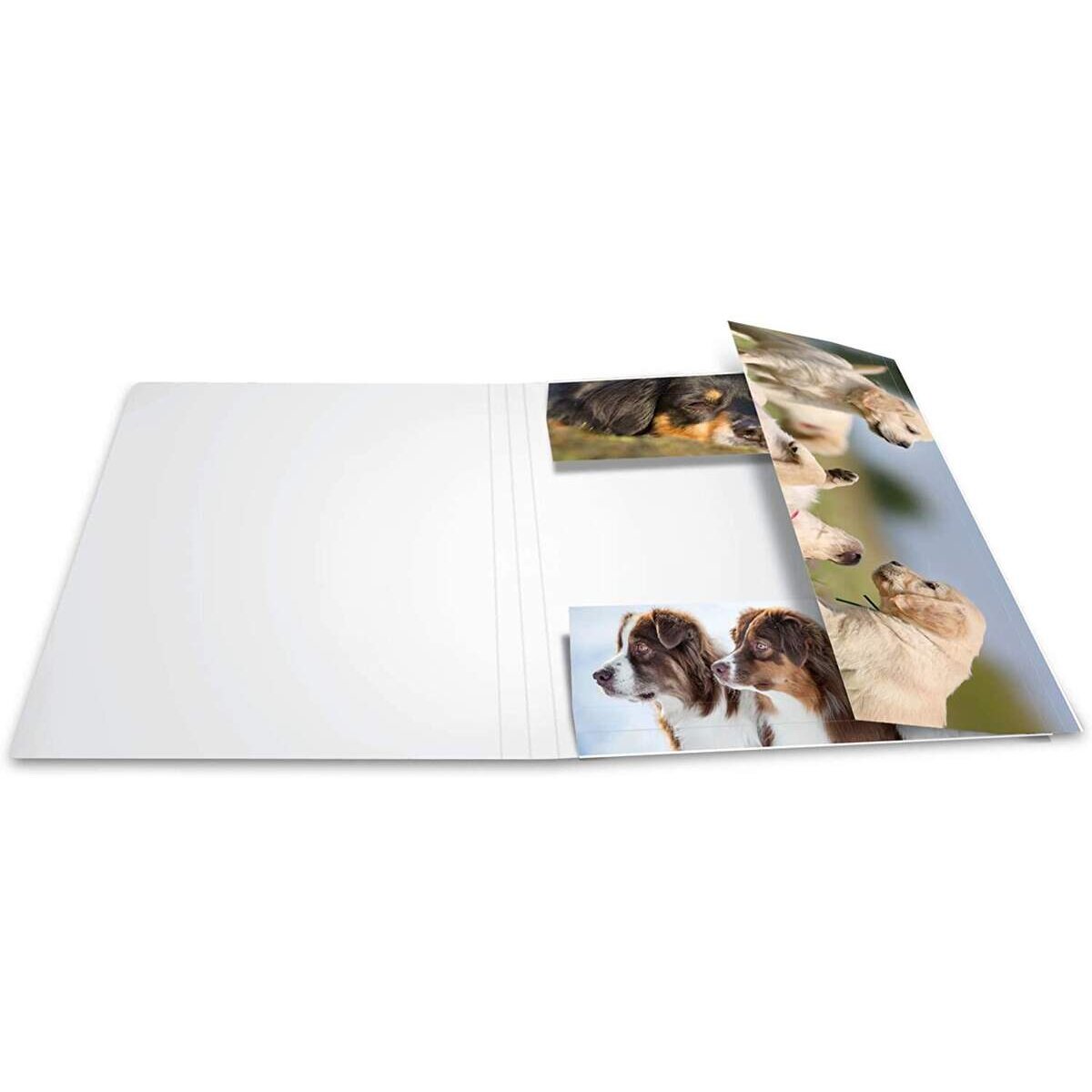 herma-sammelmappe-karton-hunde-a4-CA50BB302.jpg