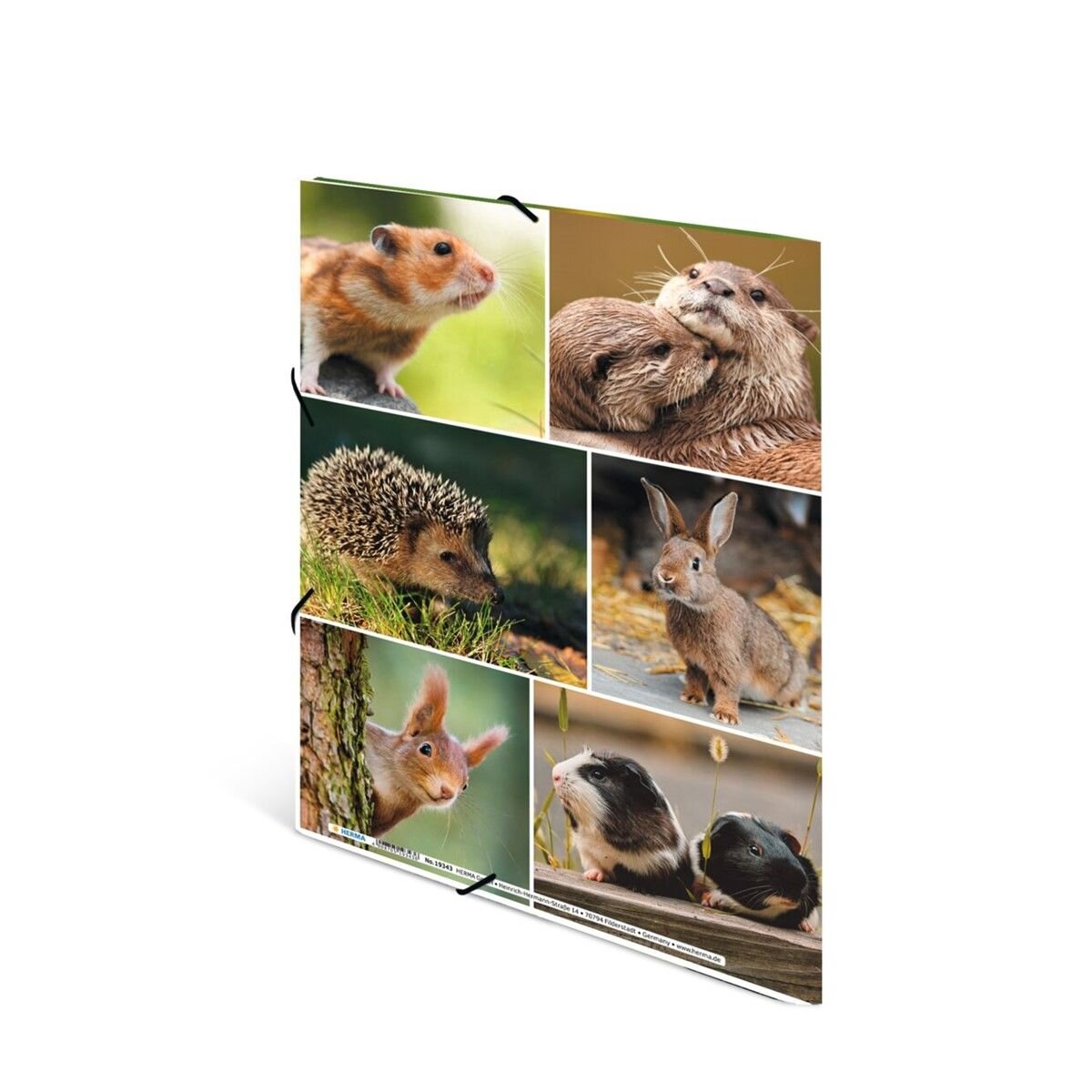 herma-sammelmappen-a4-karton-nagetiere-6001F62B3.jpg