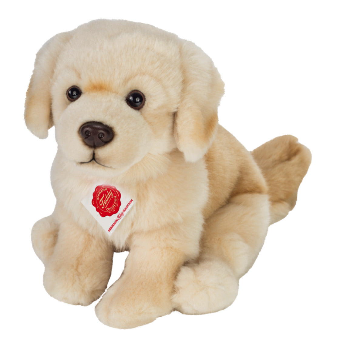 hermann-teddy-91955-golden-retriever-D38824801.jpg