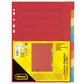 idena-10-teilig-kartonregister-in-0658B31D6.jpg