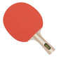 idena-tischtennisschlaeger-training-5-teile-1D0C5AE55.jpg