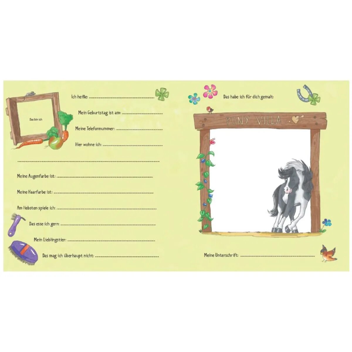 Kaufmann Verlag Meine Kindergarten-Freunde Pony