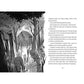 kosmos-die-zeitdetektive-odins-magisches-7CC7C0492.jpg