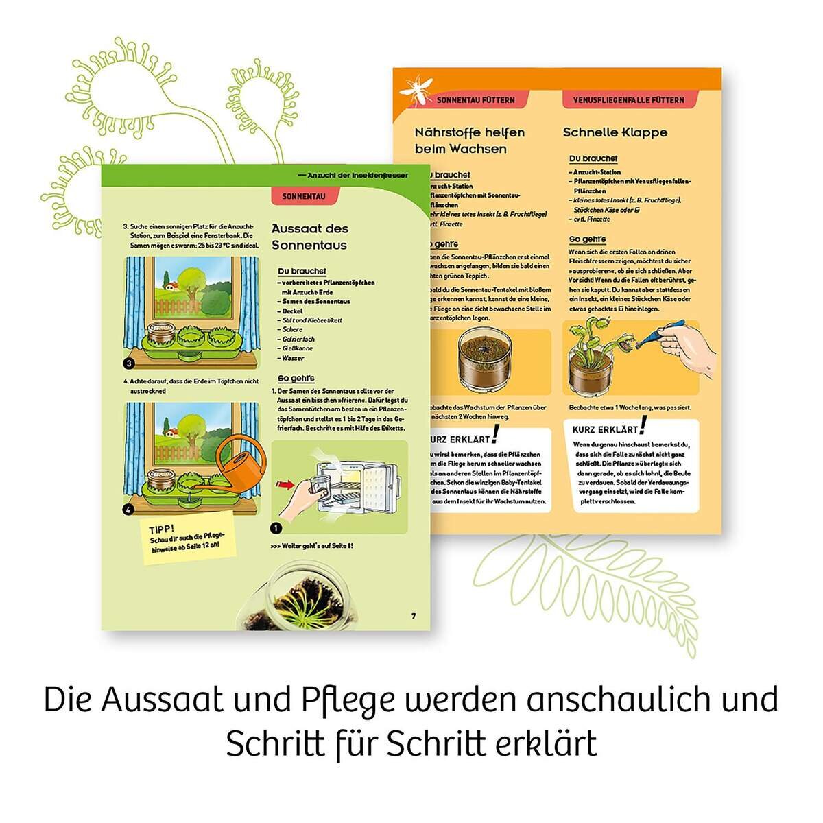 kosmos-fleischfressende-pflanzen-E67F10DE4.jpg