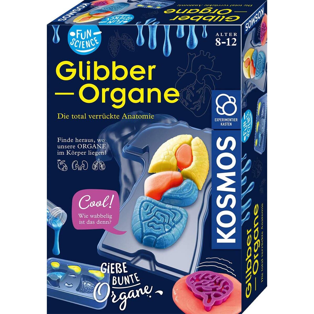 kosmos-fun-science-glibber-organe-97219D5D1.jpg