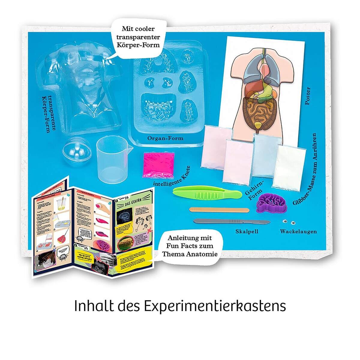 kosmos-fun-science-glibber-organe-97219D5D3.jpg