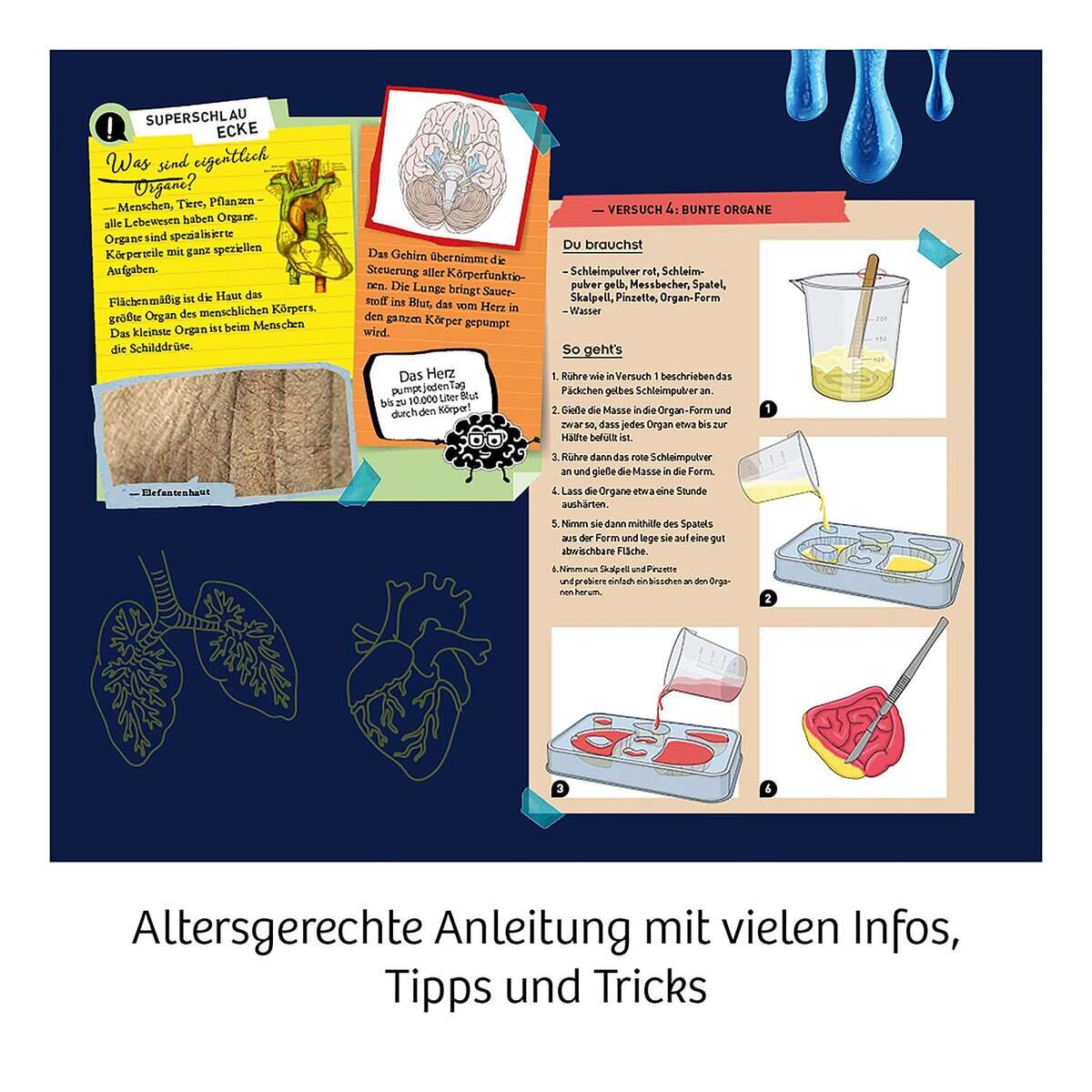 kosmos-fun-science-glibber-organe-97219D5D5.jpg