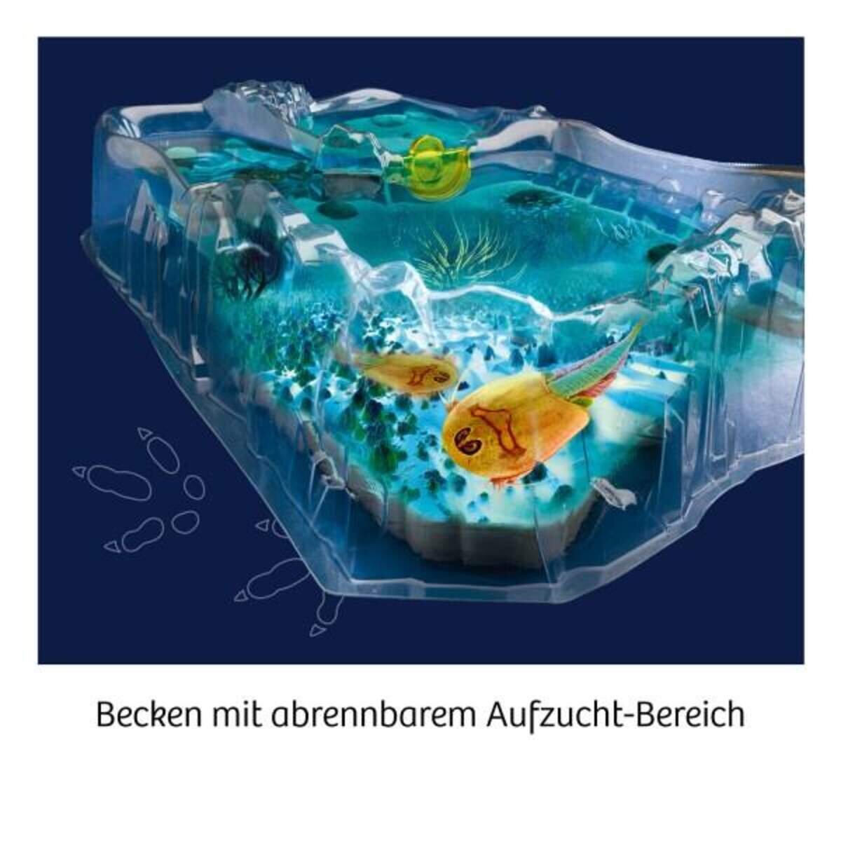 kosmos-fun-science-triops-zuechten-1D01471C4.jpg