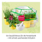 kosmos-kraeuter-garten-dein-gewaechshaus-3876A4A23.jpg