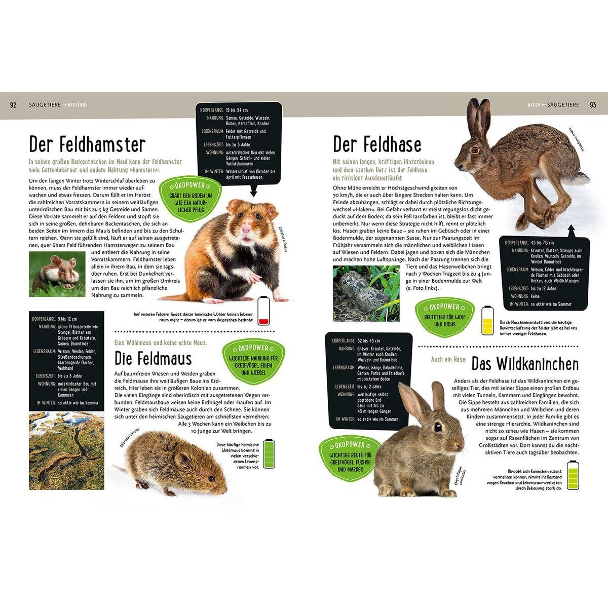 kosmos-mein-kosmos-buch-natur-F7537C675.jpg
