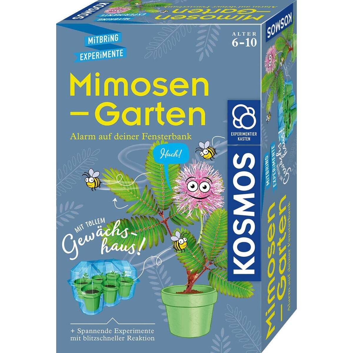 kosmos-mimosengarten-DB5239611.jpg