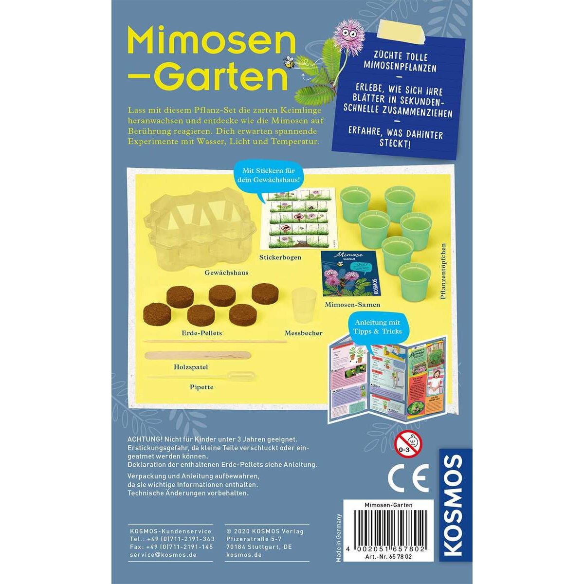 kosmos-mimosengarten-DB5239612.jpg