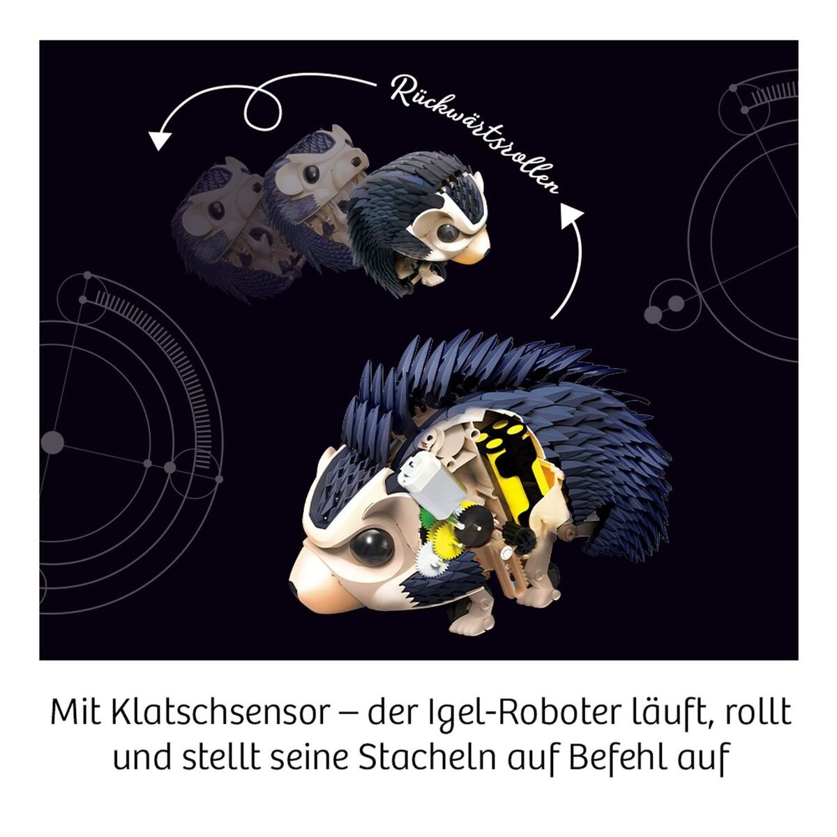 kosmos-nuna-dein-igel-roboter-E4EA2ECD4.jpg