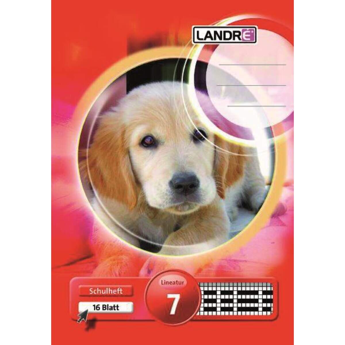 landre-schulheft-a5-kariert-liniatur-54C185FD1.jpg