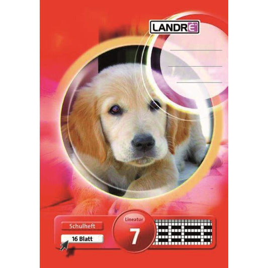 landre-schulheft-a5-kariert-liniatur-54C185FD1.jpg