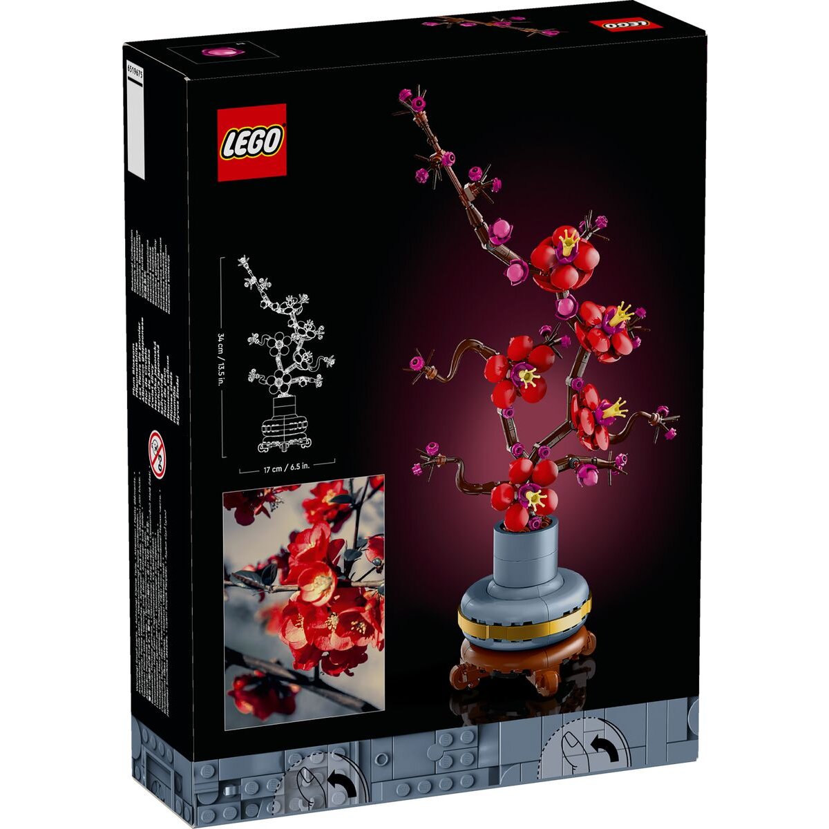 lego-botanicals-10369-pflaumenbluete-6965D7FD2.jpg