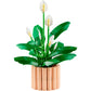 lego-botanicals-11504-friedenslilie-1B9A310D3.jpg