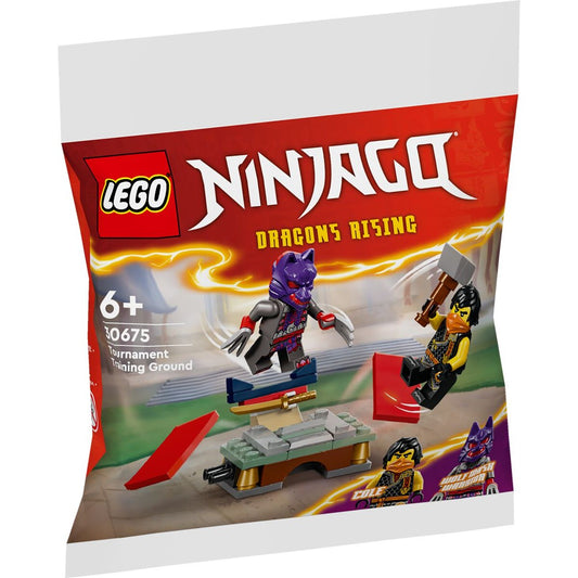 lego-ninjago-30675-turnier-trainingsgelaende-2FF1C9761.jpg