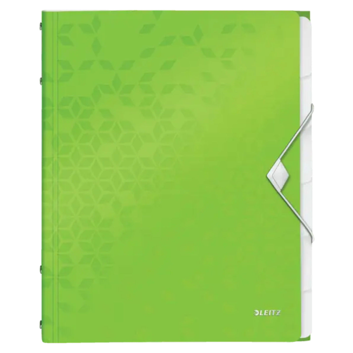 leitz-ordnungsmappe-wow-din-a4-843A0FCF1.jpg