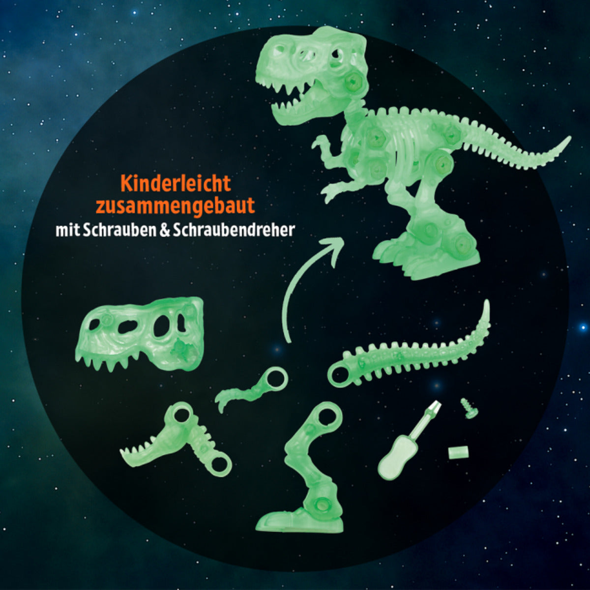 moses-dinosaurier-bausatz-glow-in-0B135C8E5.jpg