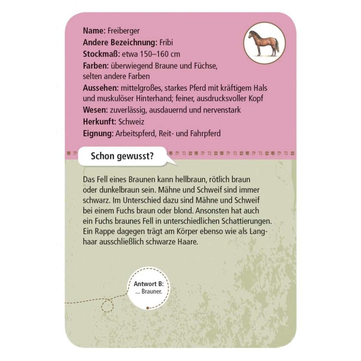 moses-expedition-natur-50-pferde-8484359D2.jpg