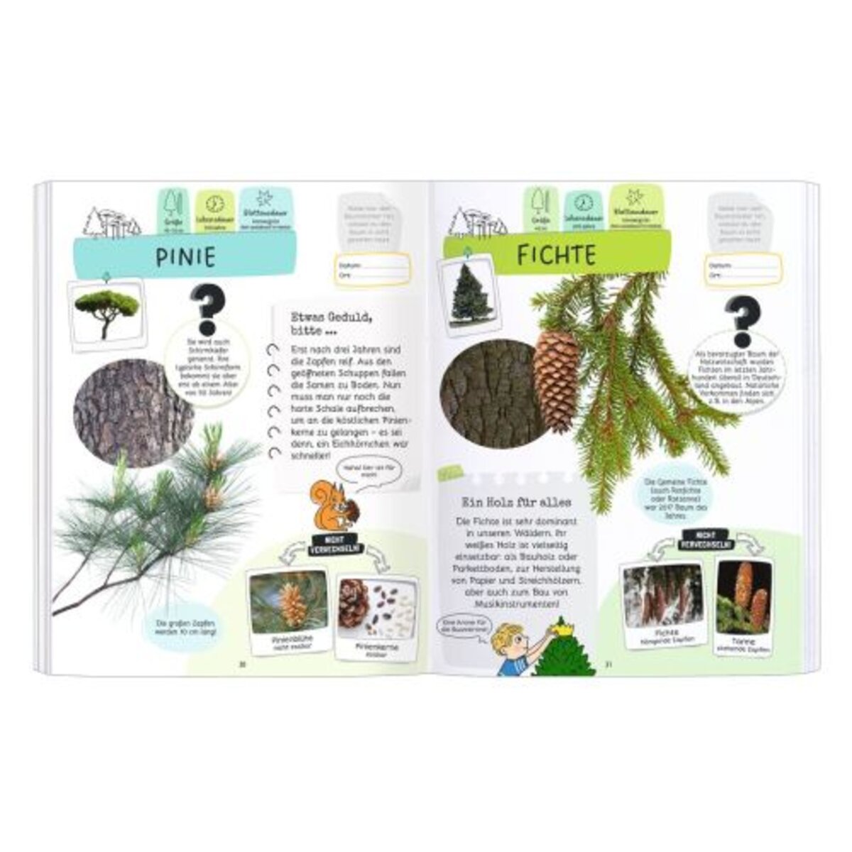 moses. Expedition Natur: Rätseln, Stickern, Bestimmen - Vögel