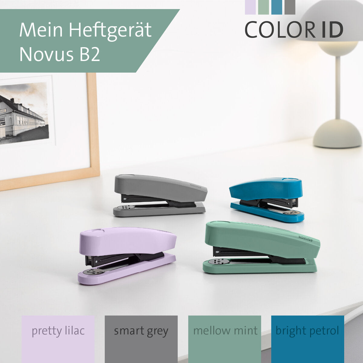 novus-b-2-color-id-66DFE56A2.jpg