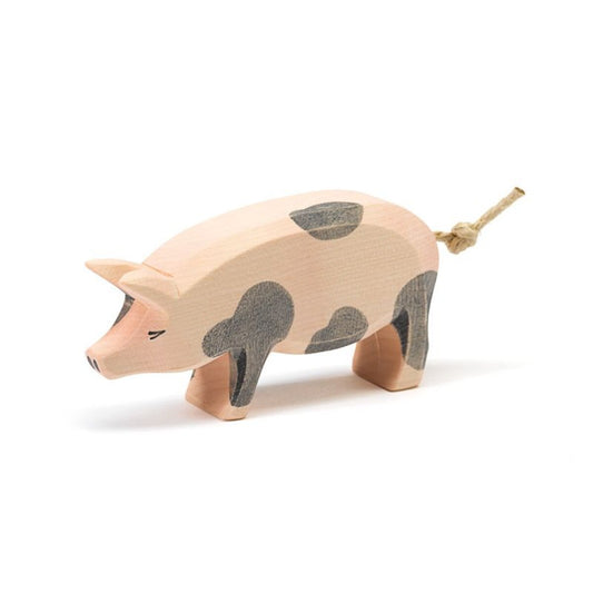 ostheimer-10951-schwein-gefleckt-kopf-1E62E3521.jpg