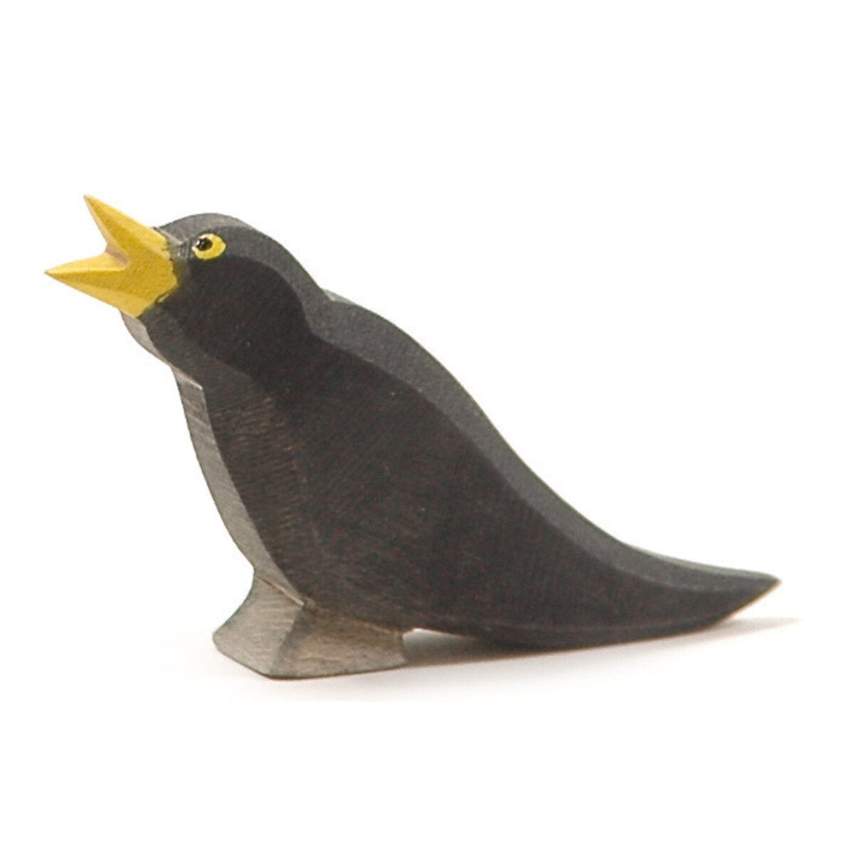 ostheimer-16801-amsel-F87A6DFE1.jpg