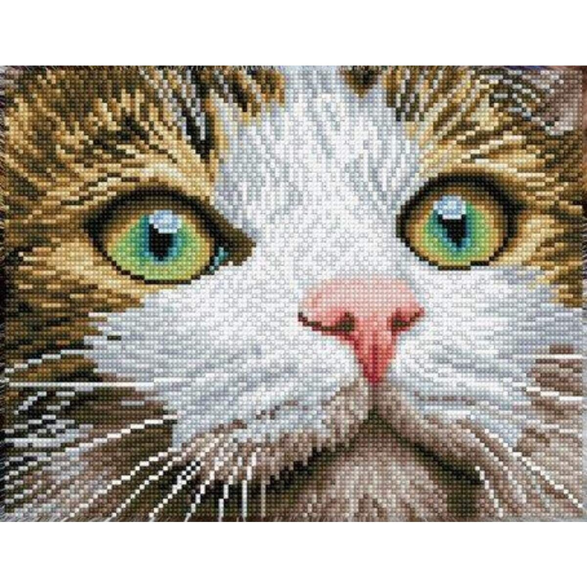 Pracht Diamond Dotz Green Eyed Beauty, ca. 27,7 x 35,5 cm groß